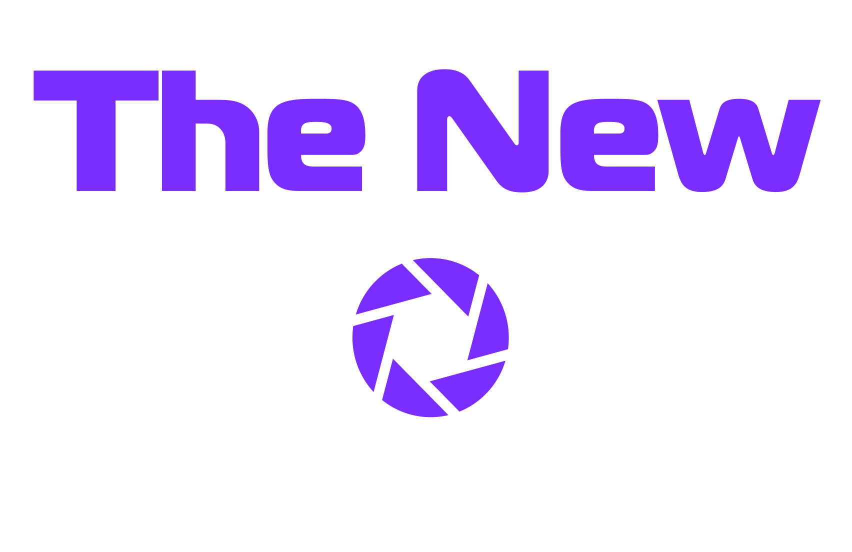 Sky Service Logo
